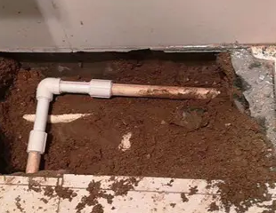 莲湖测漏水哪家好